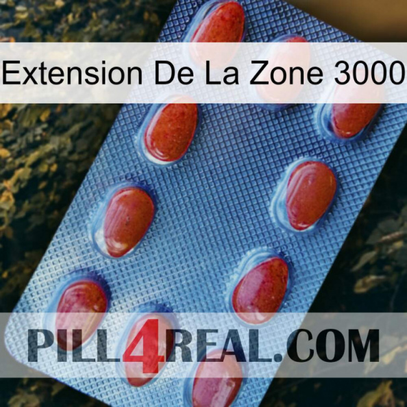 Exten Zone 3000 06.jpg